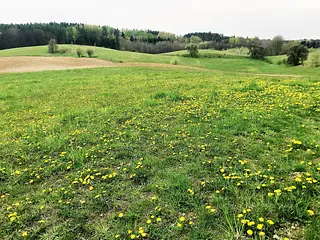 Kraina Wielkich Jezior Mikołajki - Zdjęcie nr 3