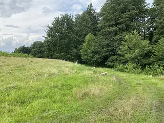 Jezioro Jeziorak - Zdjęcie nr 15