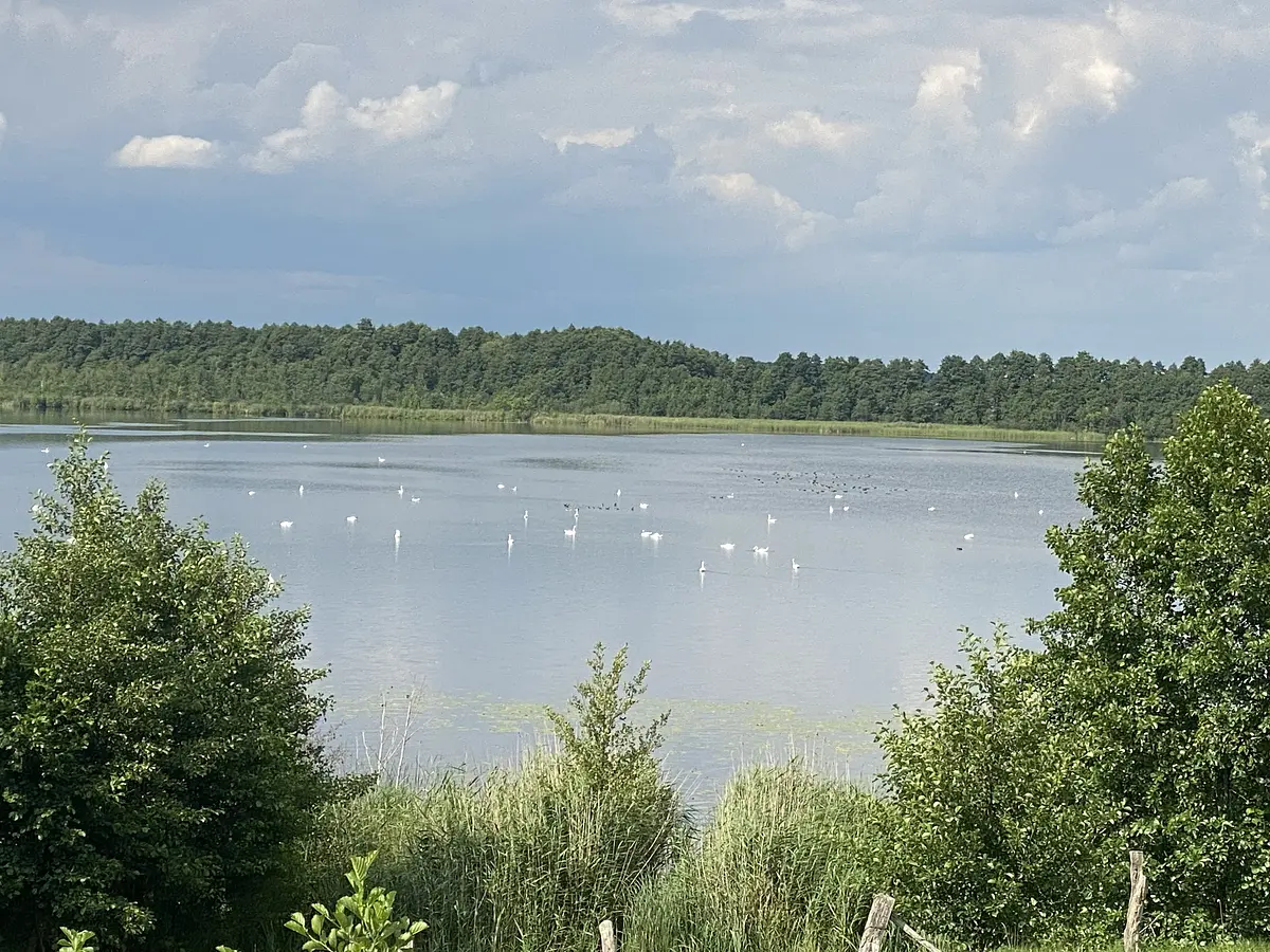 Urocze małe ciepłe jeziorko z piękną wysepką po środku