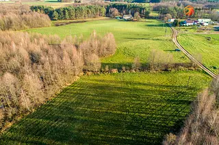 Jezioro Urszulewskie - Zdjęcie nr 8